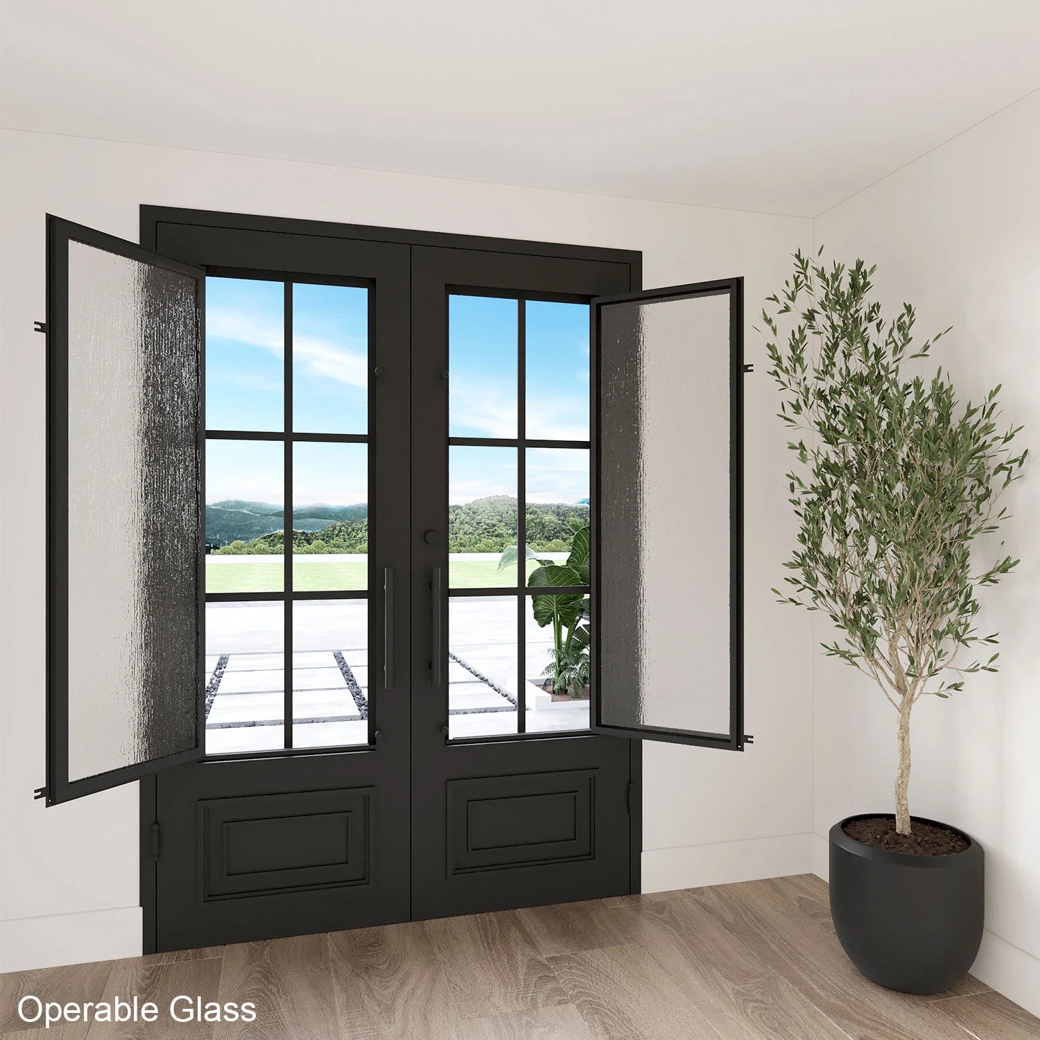 Biltmore 43 Black - Eyebrow Top Double Exterior Iron Front Door